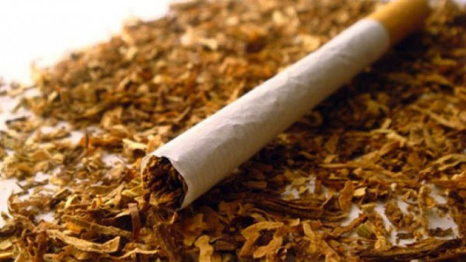 Заловиха контрабанден тютюн за близо 2 млн. лв. в гръцки ТИР | StandartNews.com