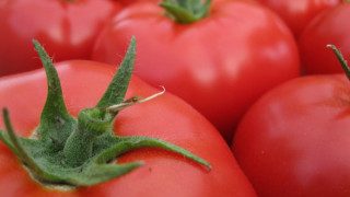 ЕП пощади българските розови домати
