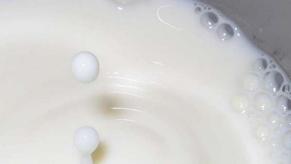 Откриха отрова за мишки в мляко на детска градина | StandartNews.com