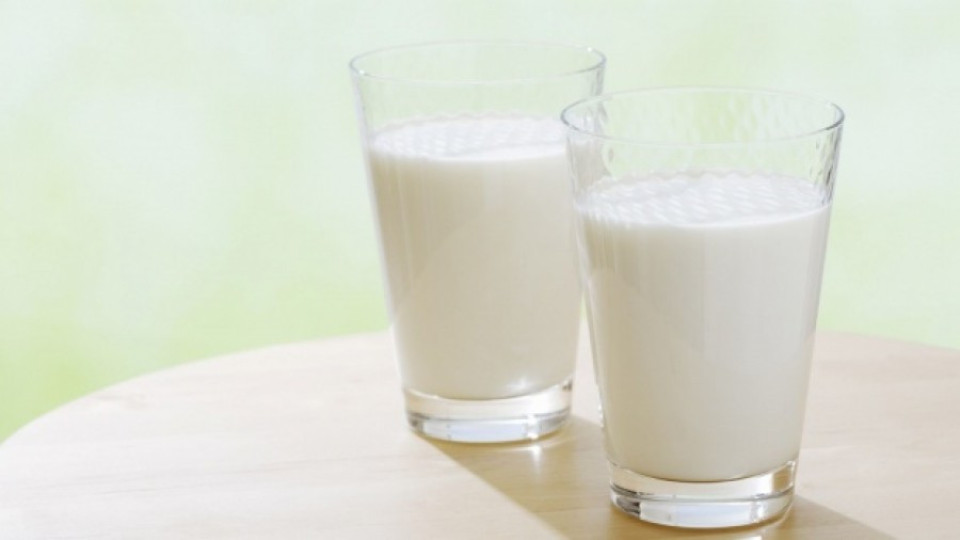 Готвачката си замълчала за синьото мляко | StandartNews.com