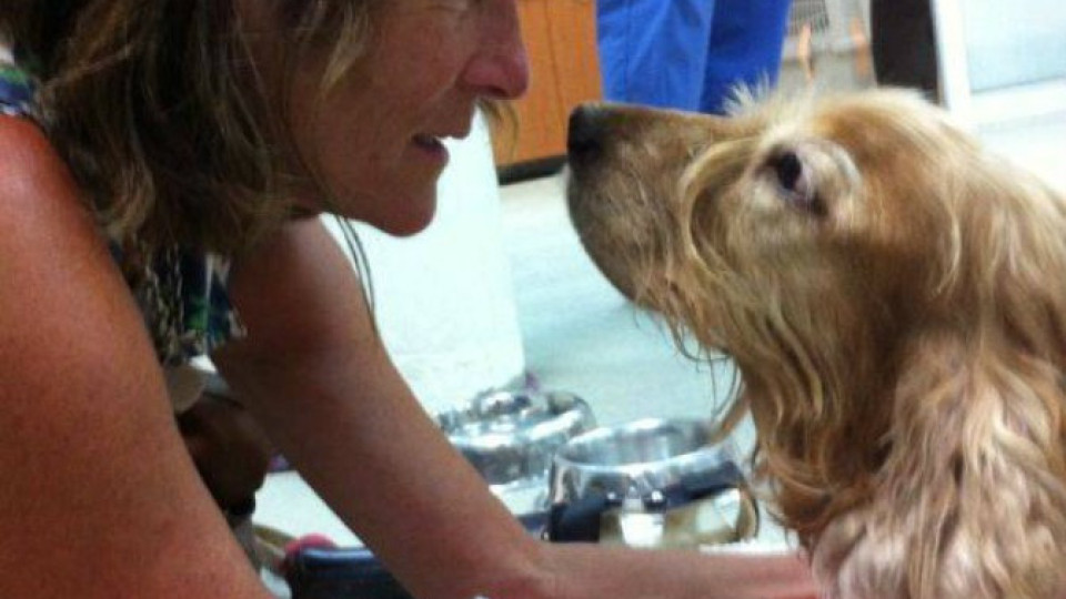 Канди Сас: Кучетата имат чувства като нас | StandartNews.com