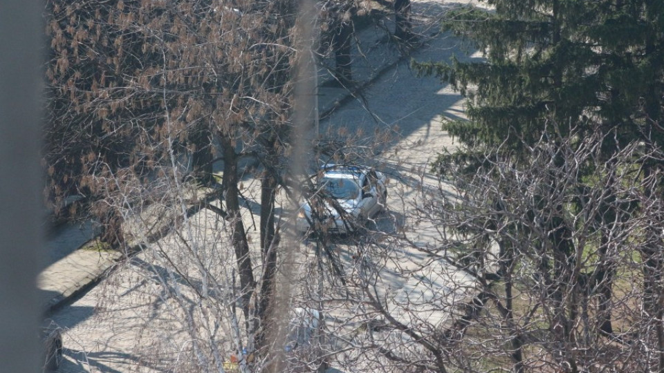 Освободиха майката на убиеца от Лясковец | StandartNews.com