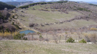 Започна разселването на елени лопатари край Чеганци