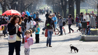 Слънчева и топла неделя