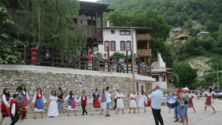 Строят в Пирин японски и финландски къщи за гости