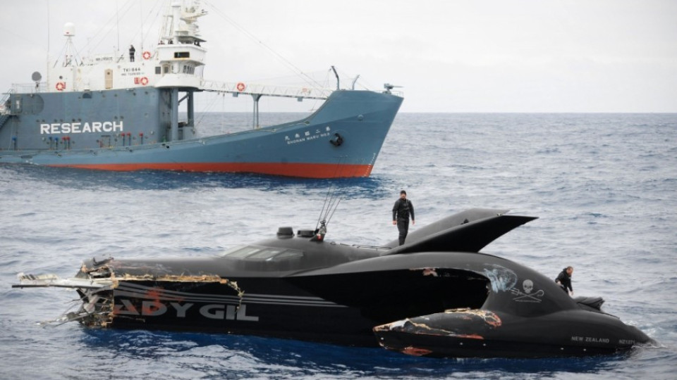 Международен съд забрани на Япония да лови китове | StandartNews.com