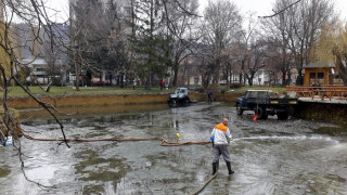 Разлог с пролетна оборка