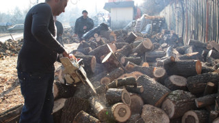 КЗК проверява пазара на дървесина