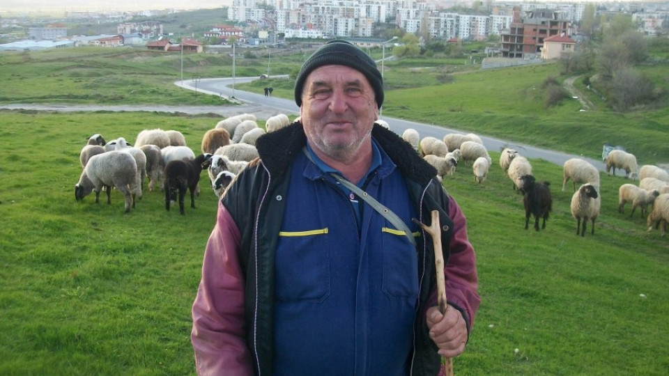 Пастири стягат опълчение срещу крадци | StandartNews.com