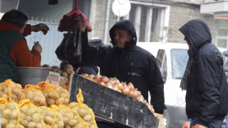 Германци спазариха земи за производство на картофи и патладжани