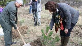 Купуват с европари машини за мебели