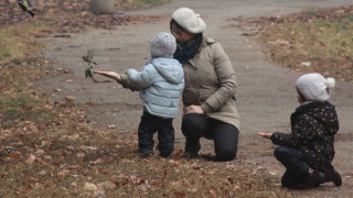 Над 100 хил. сигнала за деца в риск през 2013 г.