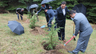 Кметове и горски шефове засадиха фиданки  в района  на  „Белите брези”