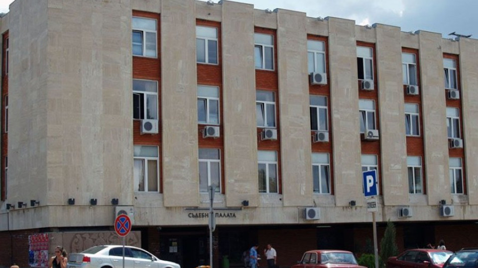 Котка пресича натоварена улица само по пешеходна улица | StandartNews.com