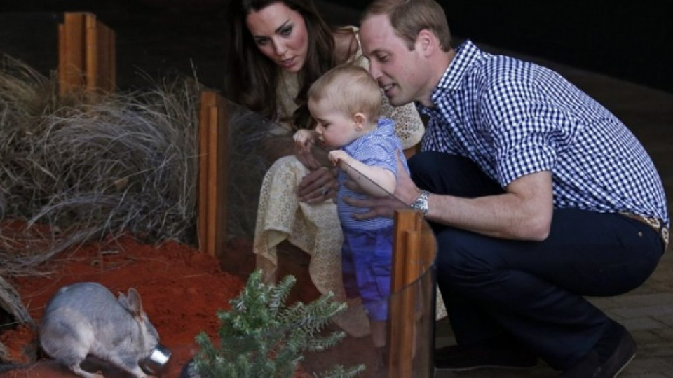 Кръстиха заек на принц Джордж | StandartNews.com