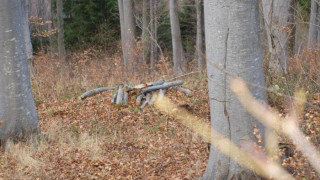 Строят 10 км горски път с 3 594 843 лева