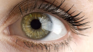 Инжекция в окото пази от слепота