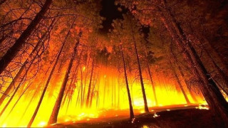 Доброволци от 13 г. гасят пожари в община Сатовча