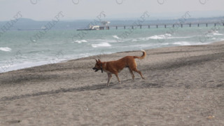 Облаци и дъжд идват от морето