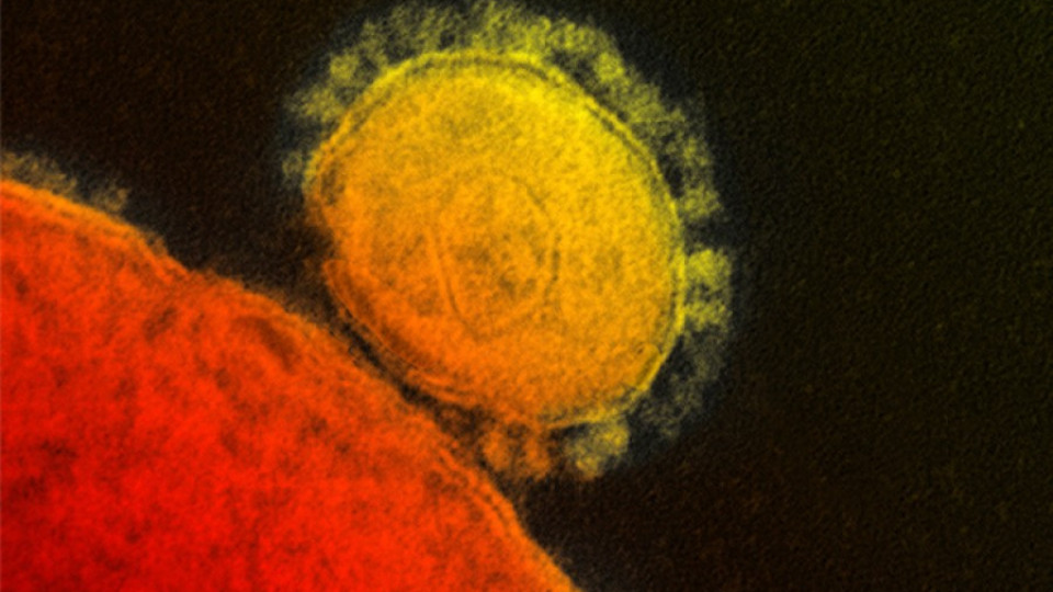 Саудитска Арабия обяви нови 13 жертви на коронавируса | StandartNews.com
