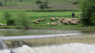 Паника за отровена вода