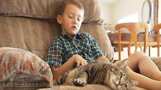 ВИДЕО: Котка-боец спаси своя 4-годишен стопанин от зло куче