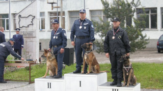 Родни кучета се отличиха в издирване на хора, дрога и бомби