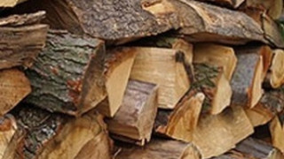 Опашки за евтини дърва в жегите