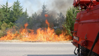 Пожар бушува в горите край Брезник