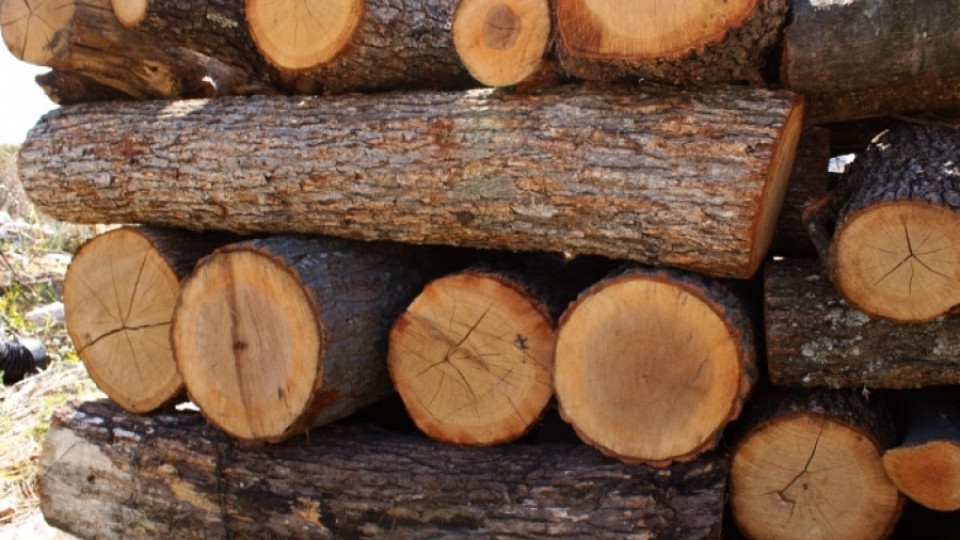 Кубик дърва за огрев скочи до 95 лв. | StandartNews.com