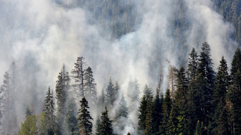 Рила в пламъци, стихията пълзи към резерват | StandartNews.com
