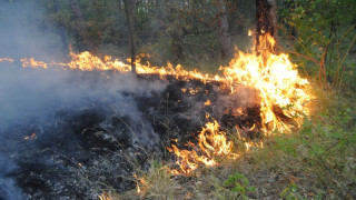 Пожарът край Елхово обхвана над 10 000 дка