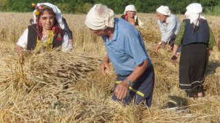 Пустеещи ниви надуват цените   