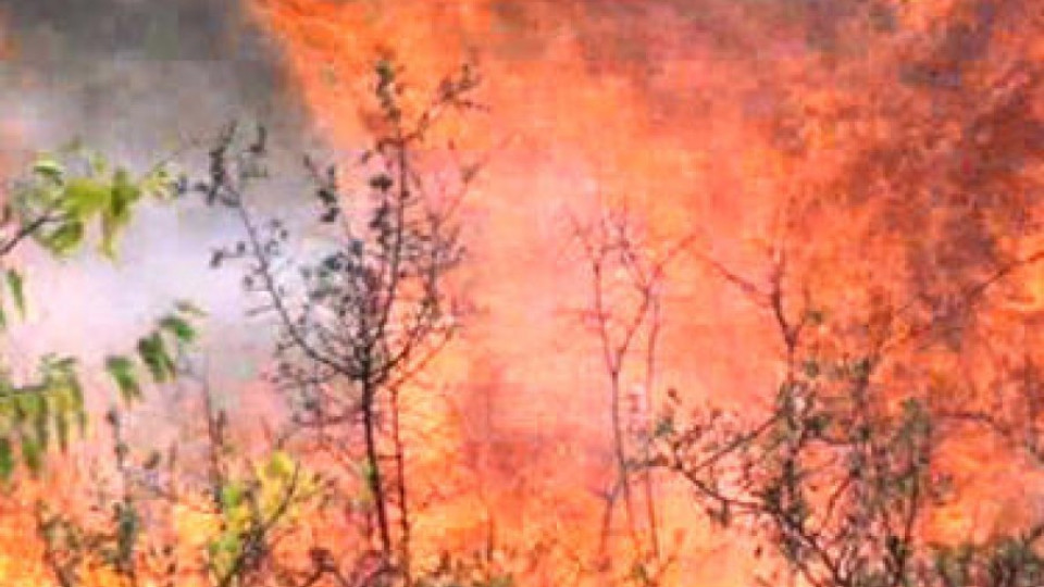 Пожарът край Елхово се разраства | StandartNews.com