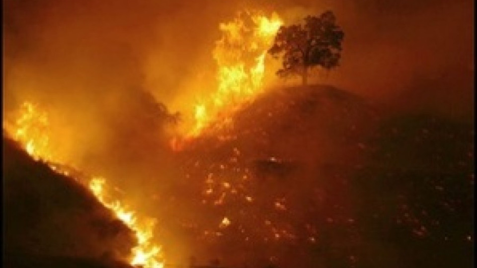 Пожарът край Студенец продължава | StandartNews.com