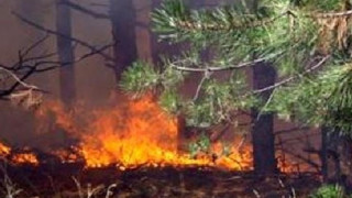 Огнеборци дебнат за нов пожар край Разлог
