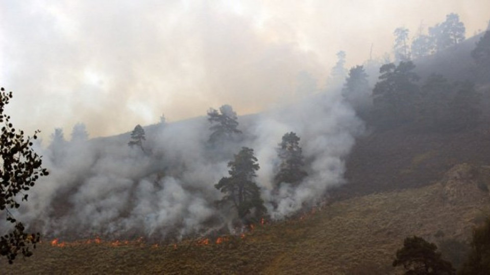 Има нужда от доброволци за пожара над Чепеларе | StandartNews.com