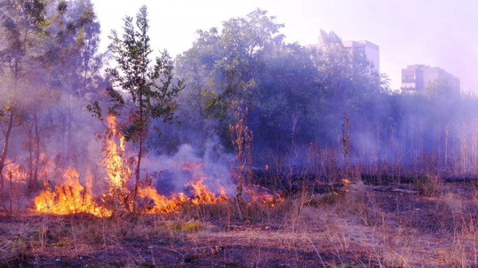 Продължава гасенето на пожара край Чепеларе | StandartNews.com