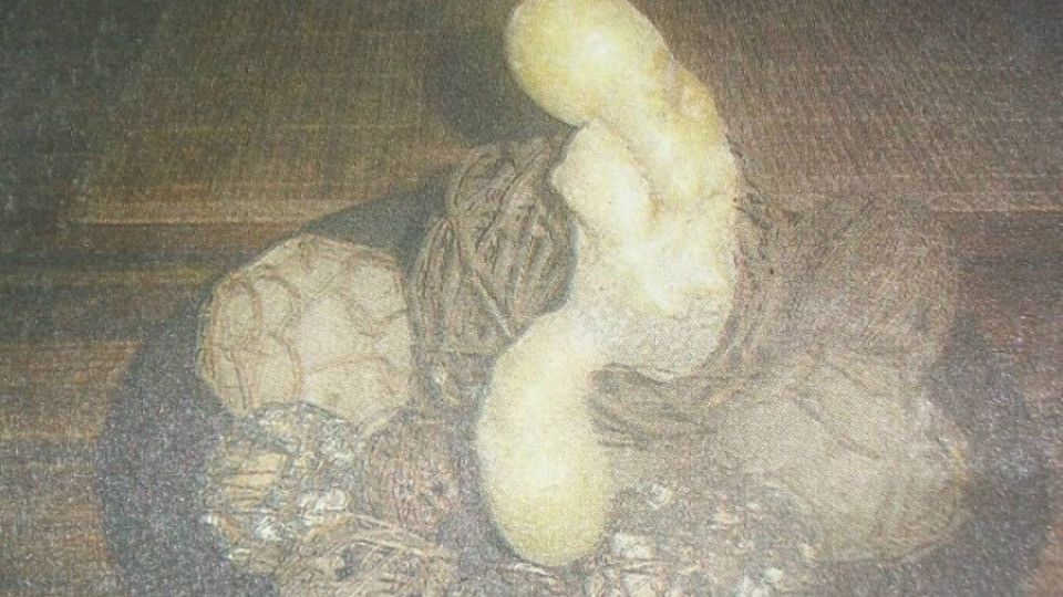 Нашенец изрови картоф като Богородица с младенеца | StandartNews.com