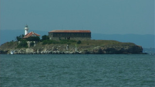 Павлова блокирана на остров, намери си костенурка 