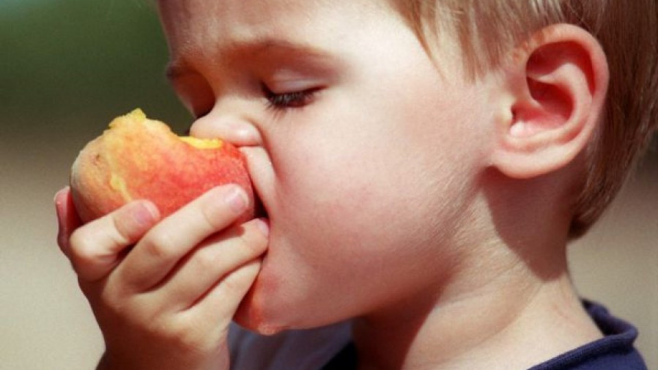 Риба и ябълки сменят макароните в детските кухни | StandartNews.com