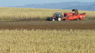 Земята в Добричко чупи рекорди