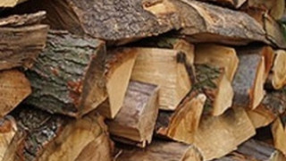 Уредиха с дърва петричките села