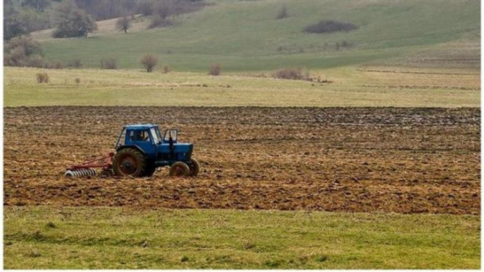 Земеделците притеснени за сеитбата на пшеница | StandartNews.com