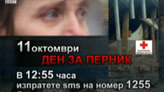 Лавина от SMS-и за Перник