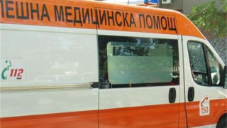 Почина нахапаното от куче дете