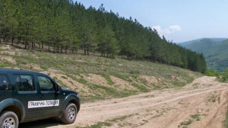 Само за ден спипаха 41 на браздата