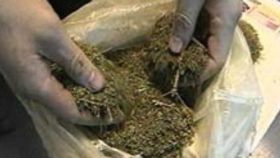 Спипаха 3 кг марихуана в кола на холандец | StandartNews.com