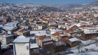 Кочан цъфти с US долари   