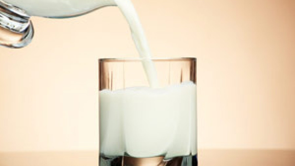 Само вода, мляко и сол в айряна    | StandartNews.com